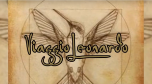 Viaggio Leonardo